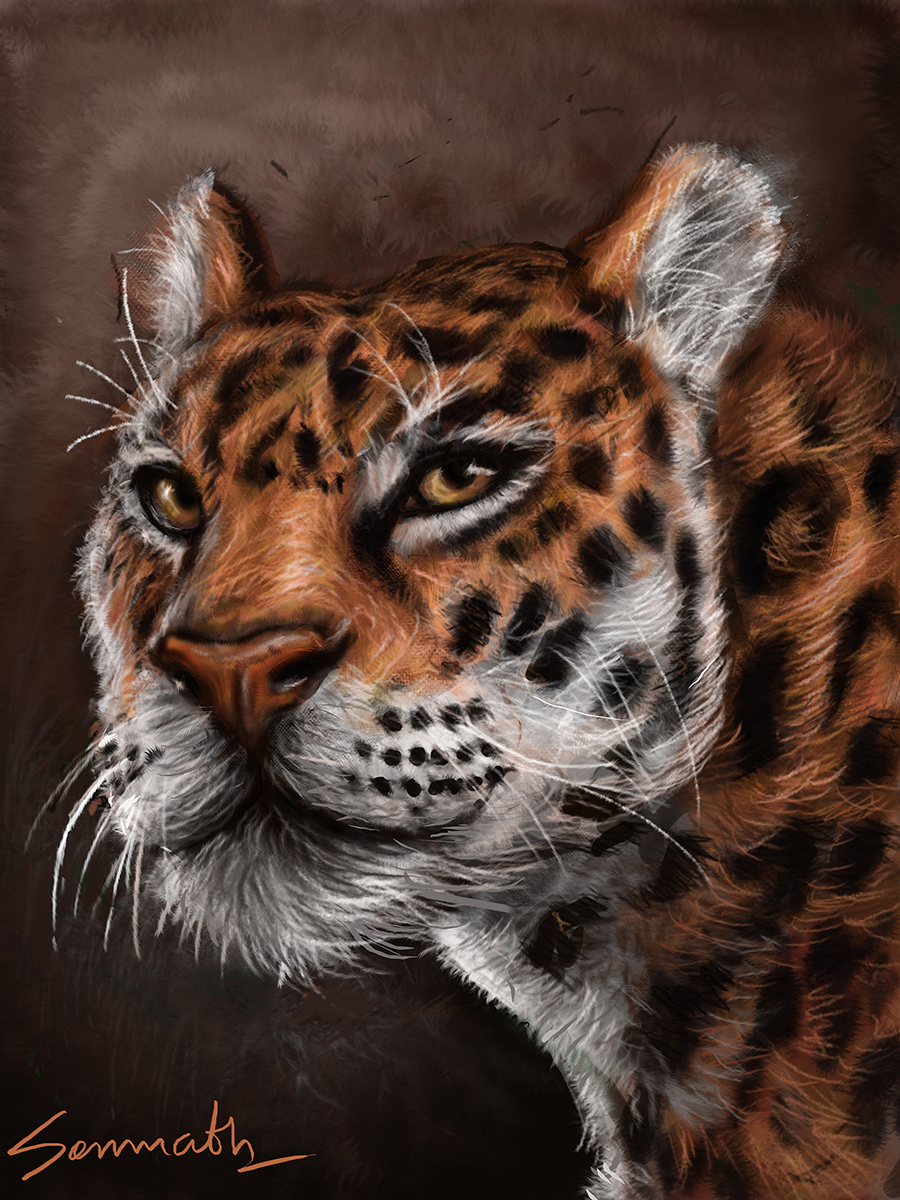 jaguar symbolism