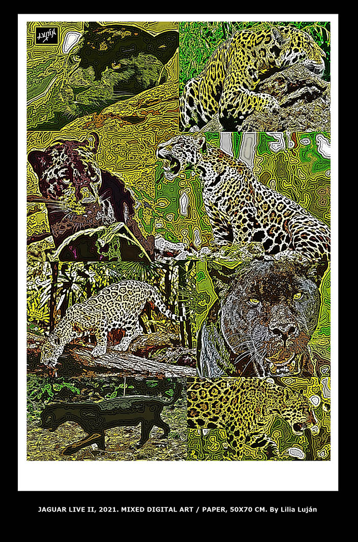 JAGUAR LIVE II, 2021. MIXED DIGITAL ART-PAPER, 50X70 CM. By Lilia Luján
