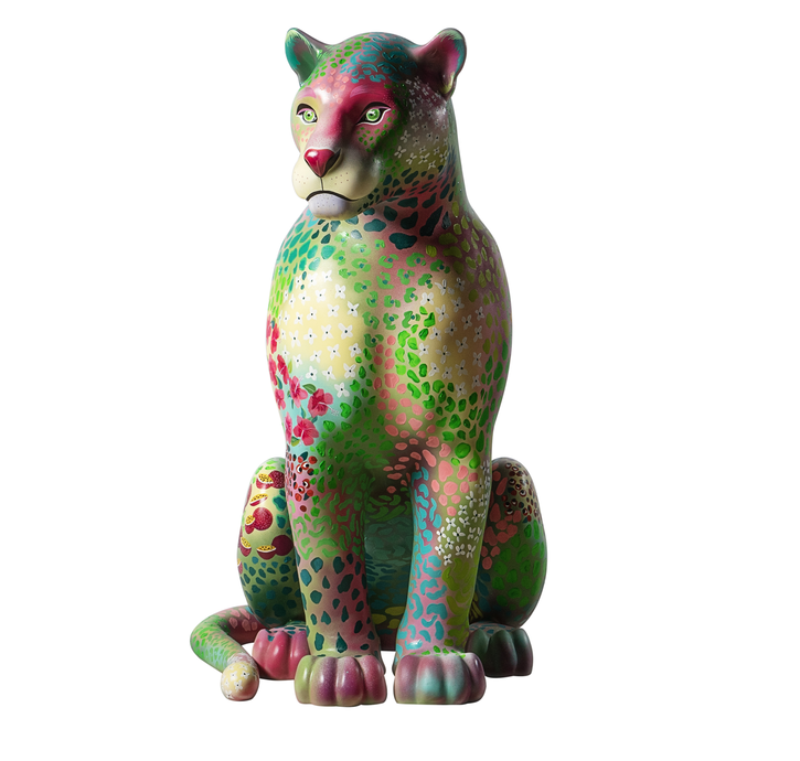 A beleza vem de dentro