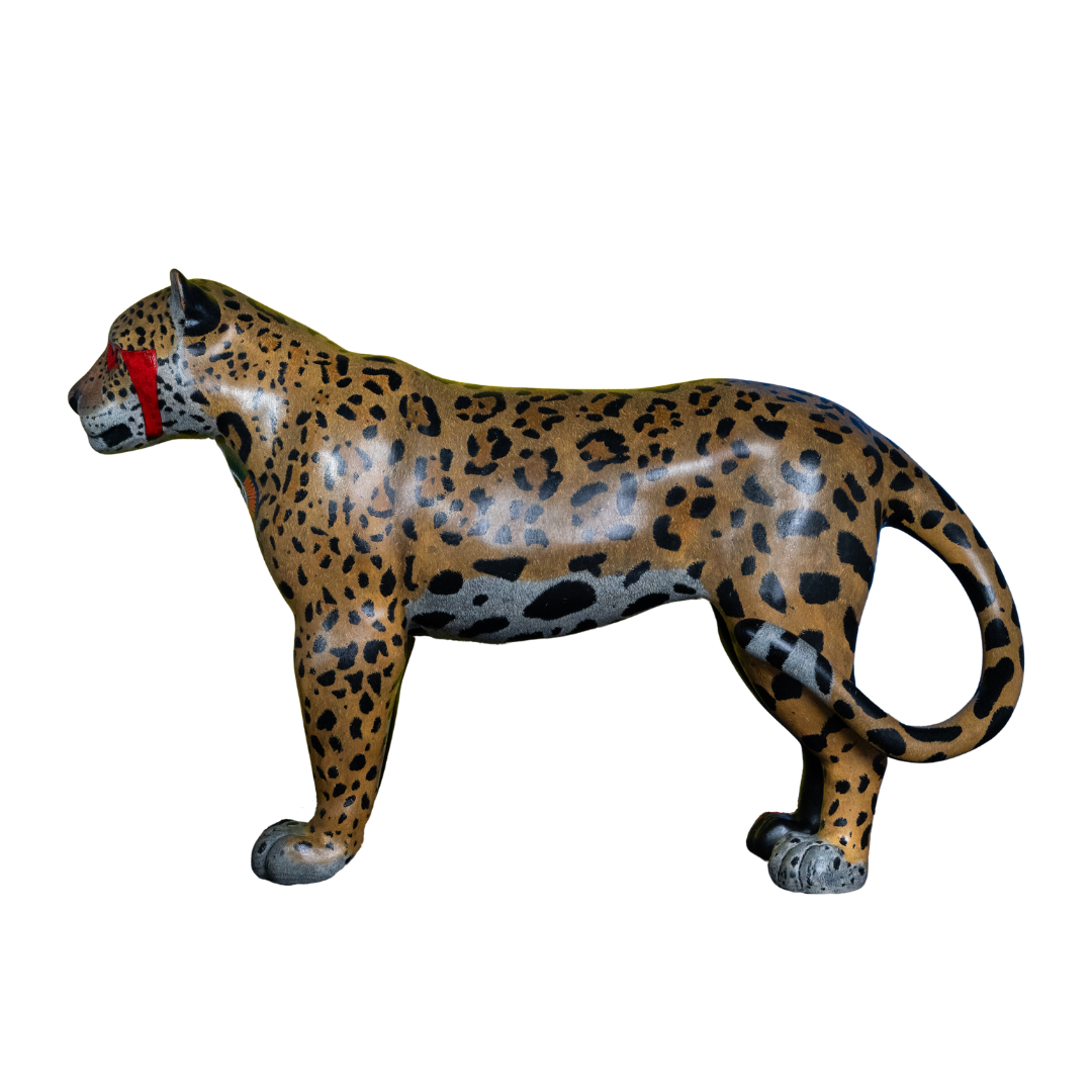 Fronteiras Queimadas