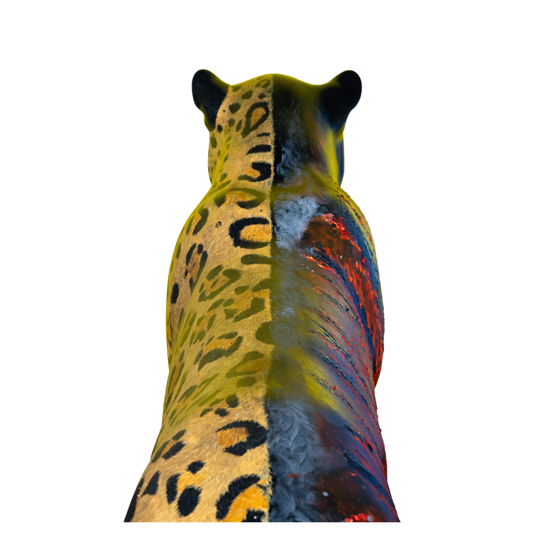 Fronteiras Queimadas