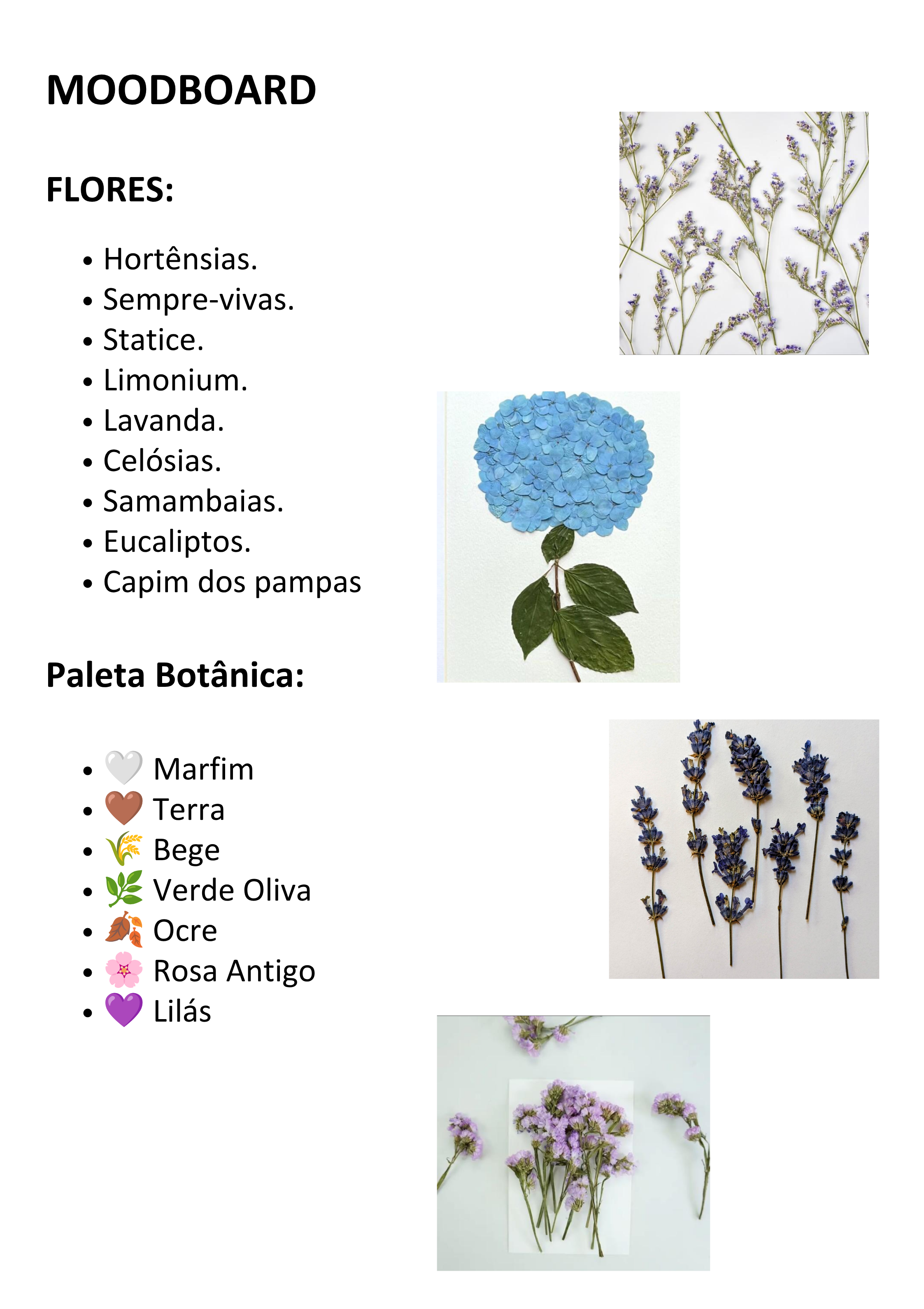 Projeto Florescer da Onça